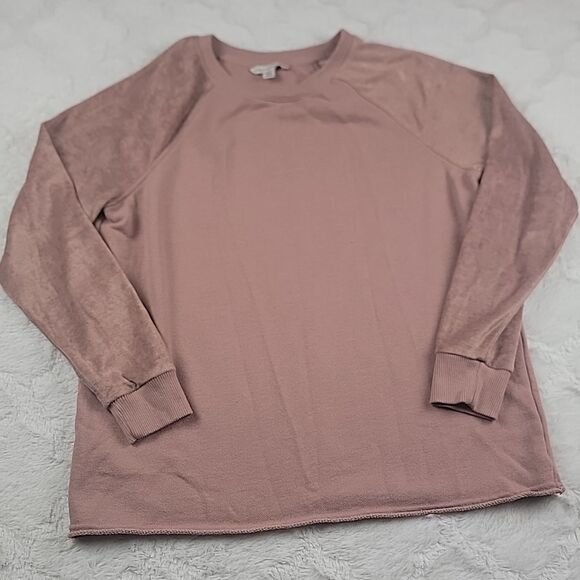 ‎American Eagle Outfitters Velvet Sleeve Sweatshirt [SIZE SMALL] - Picture 1 of 5